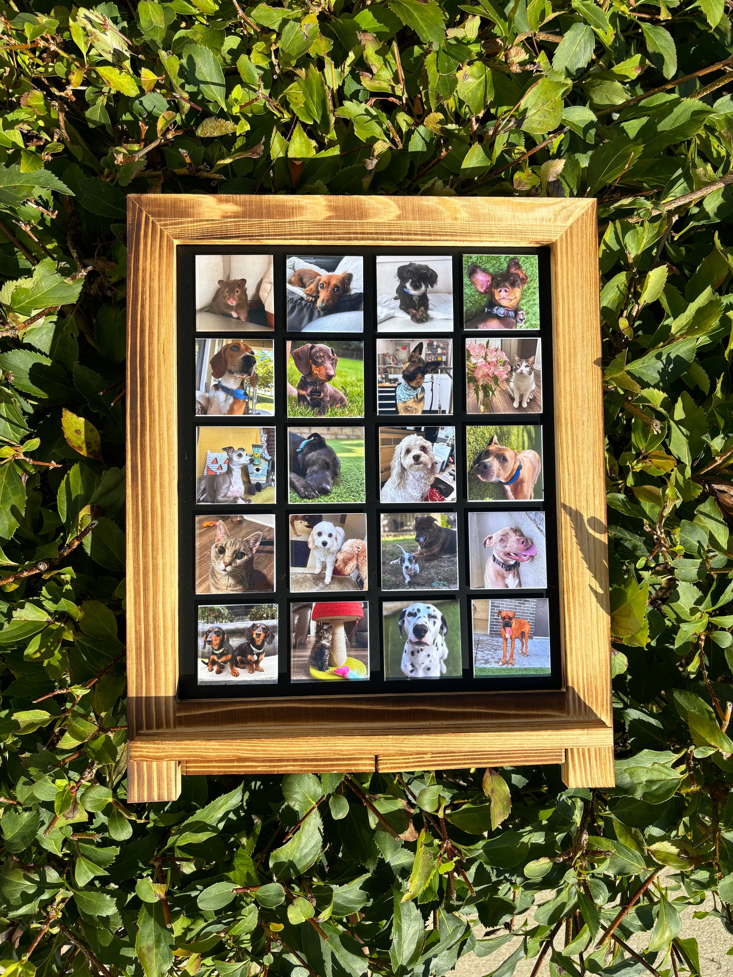 Custom Square Photo Magnets